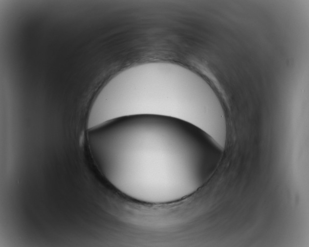 X0000088470019200705291557