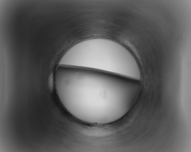 X0000088470020200705291557