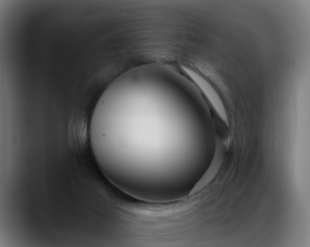 X0000088470021200705291557