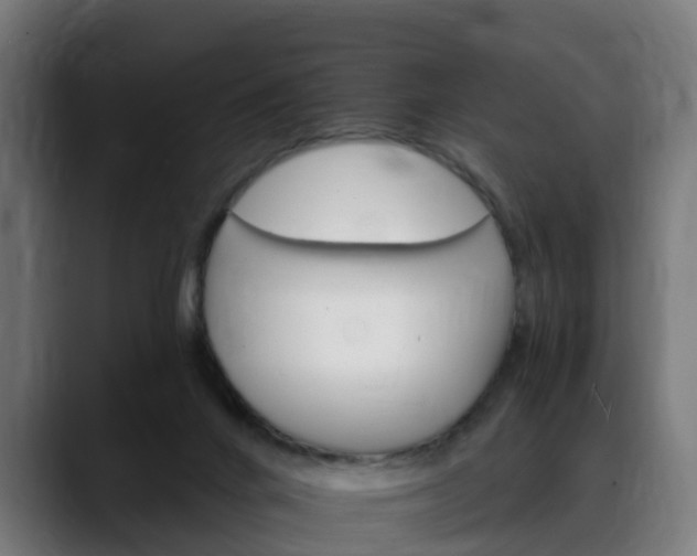 X0000088470024200705291557