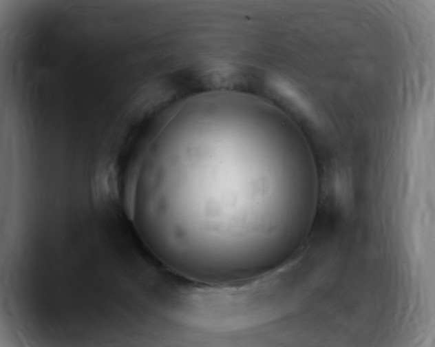 X0000088470025200705291557