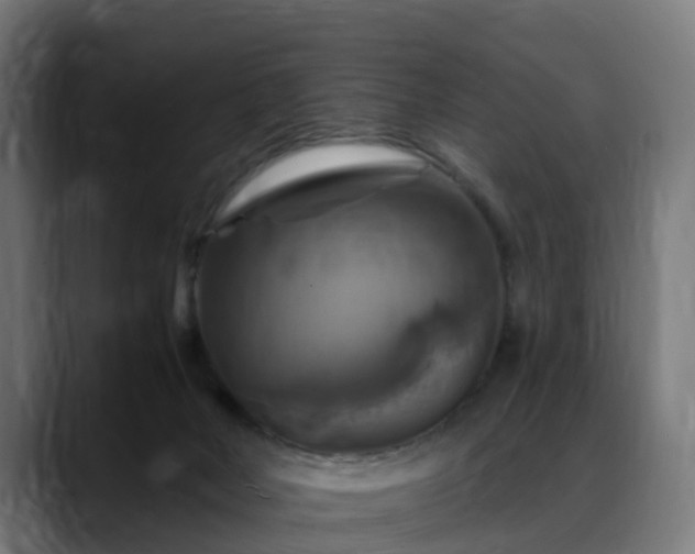 X0000088470026200705291557