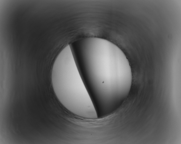 X0000088470027200705291557