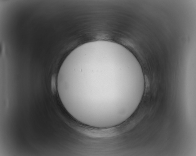 X0000088470028200705291557