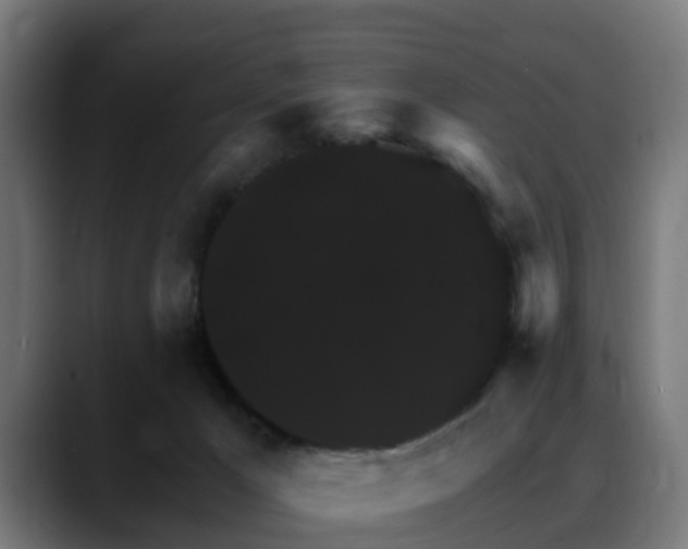 X0000088470029200705291557