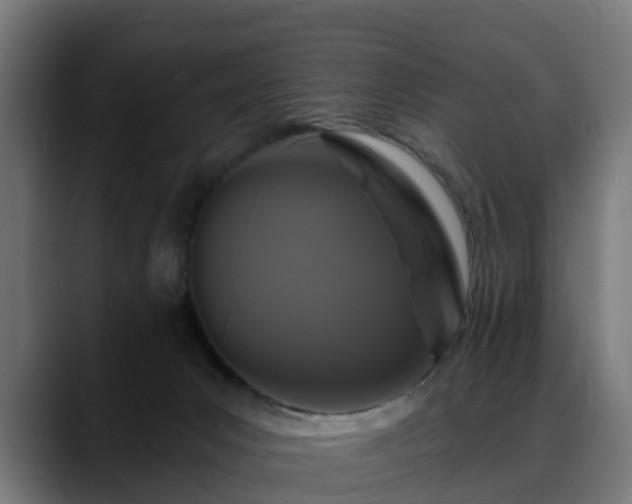 X0000088470031200705291557