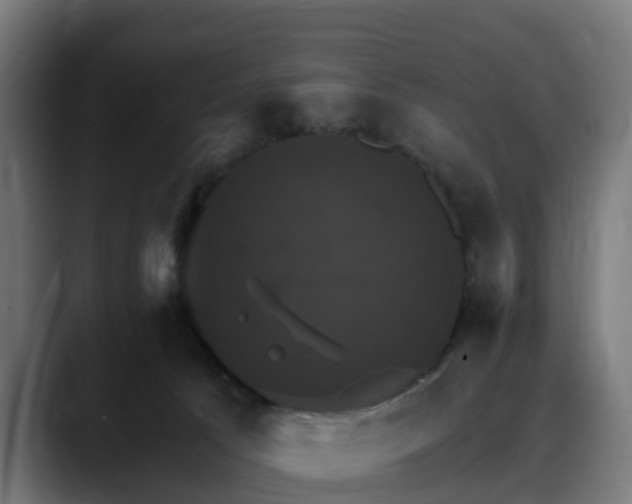 X0000088470033200705291557