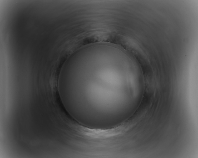 X0000088470034200705291557