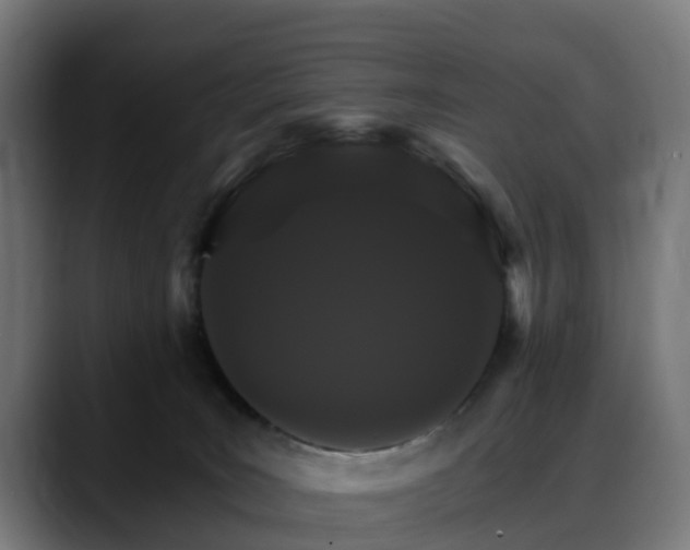 X0000088470035200705291557