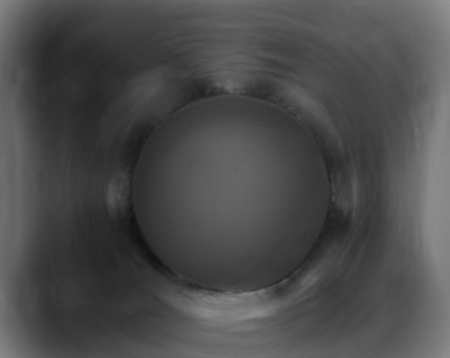 X0000088470036200705291557