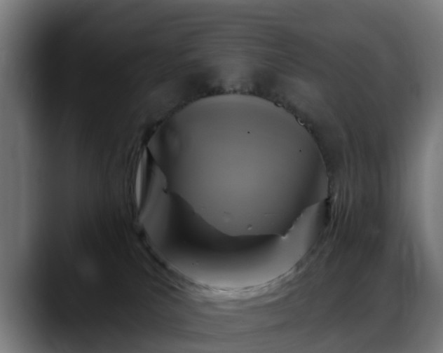 X0000088470039200705291557