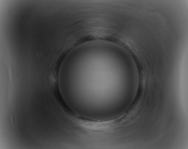 X0000088470040200705291557