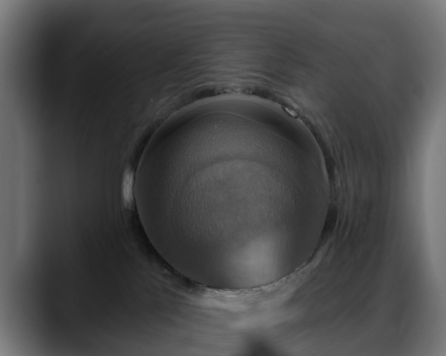 X0000088470041200705291557