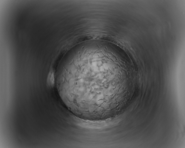 X0000088470042200705291557