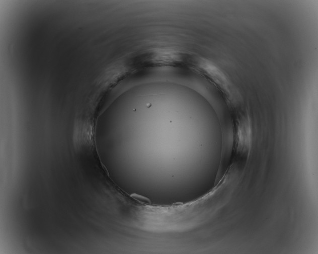 X0000088470045200705291557