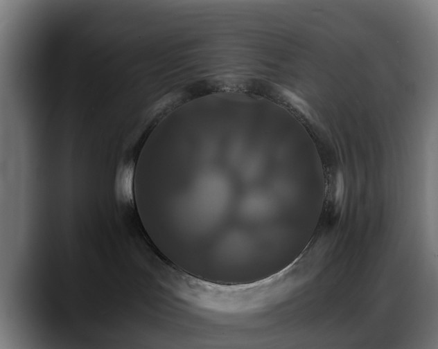 X0000088470047200705291557