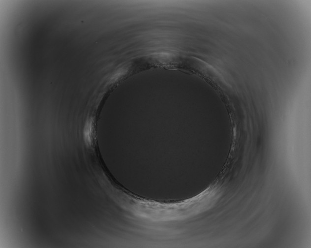 X0000088470048200705291557