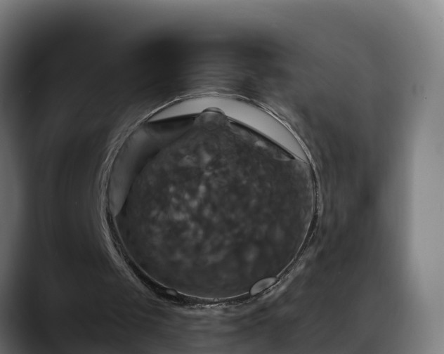 X0000088470049200705291556