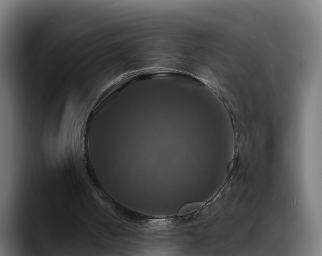 X0000088470050200705291556