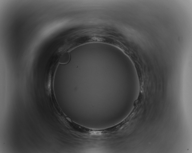 X0000088470052200705291556