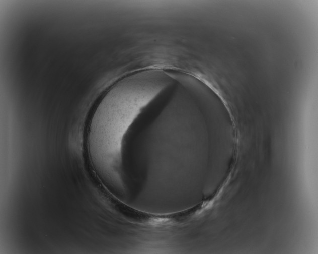 X0000088470055200705291556