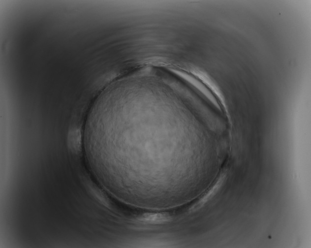 X0000088470057200705291556