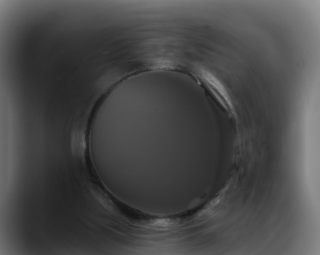 X0000088470059200705291556