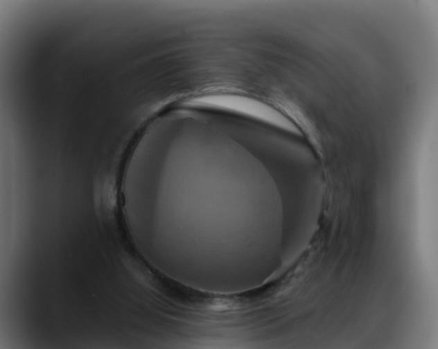 X0000088470060200705291556