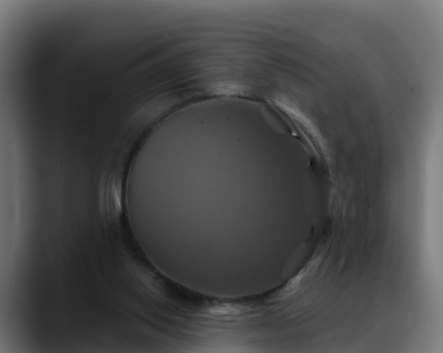 X0000088470062200705291556