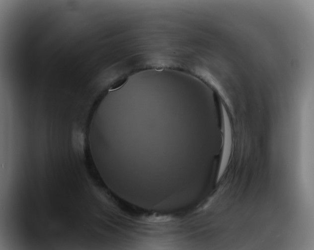 X0000088470063200705291556