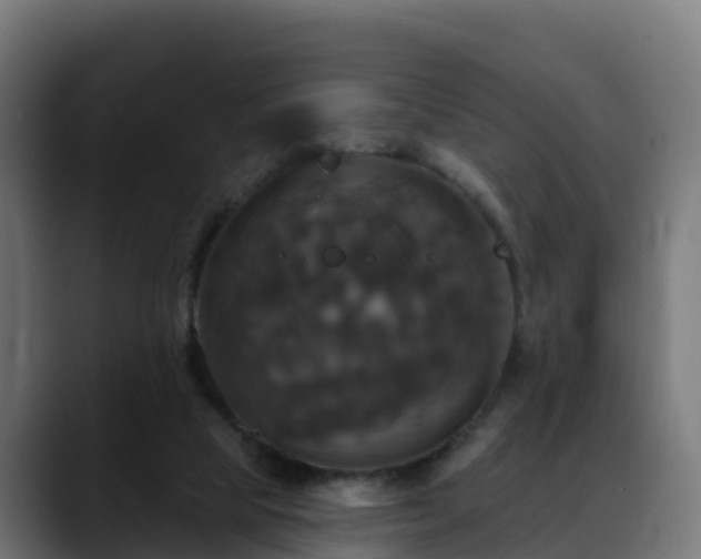 X0000088470065200705291556