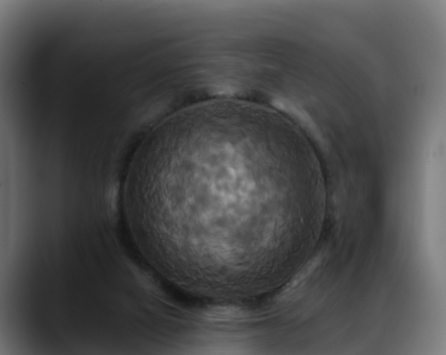 X0000088470066200705291556