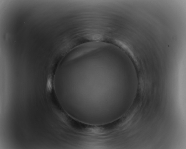 X0000088470069200705291556