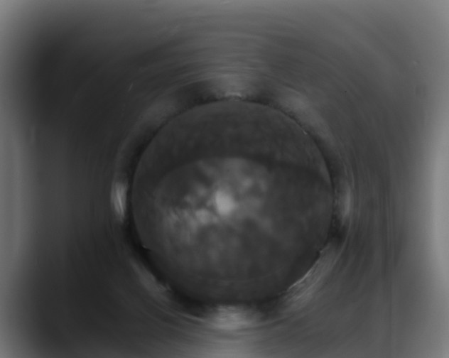 X0000088470070200705291556