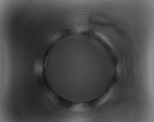 X0000088470072200705291556