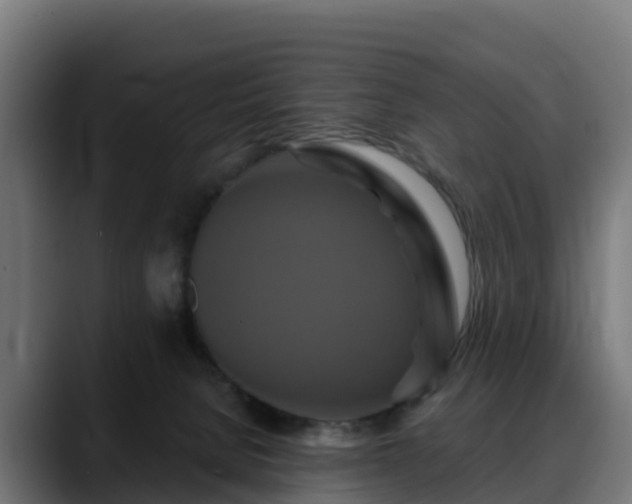 X0000088470080200705291556