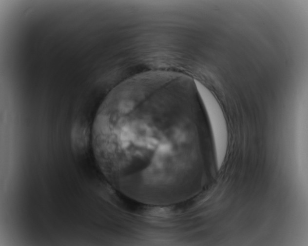 X0000088470081200705291556