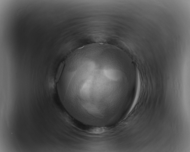 X0000088470084200705291556