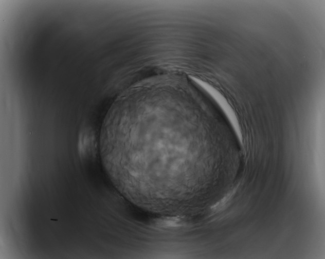 X0000088470086200705291556