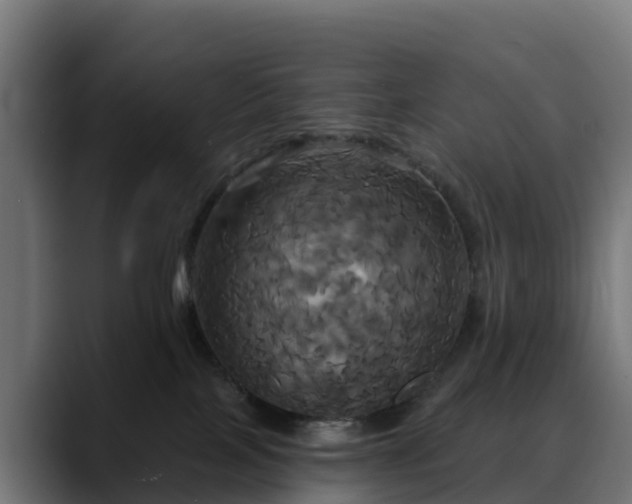 X0000088470089200705291557