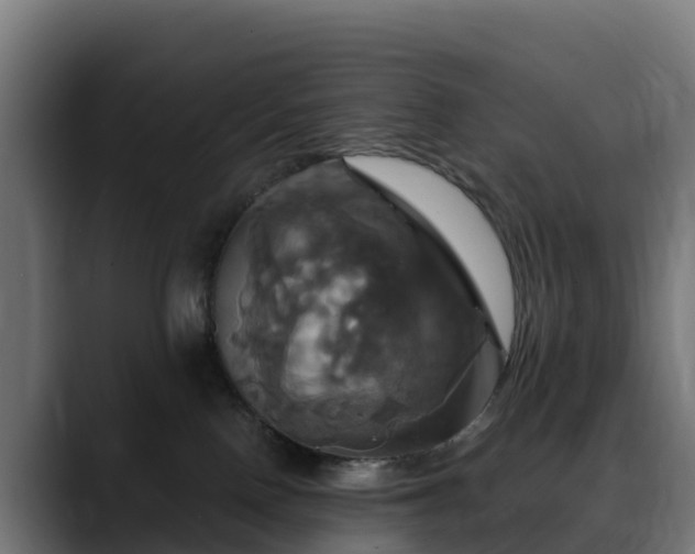 X0000088470090200705291557