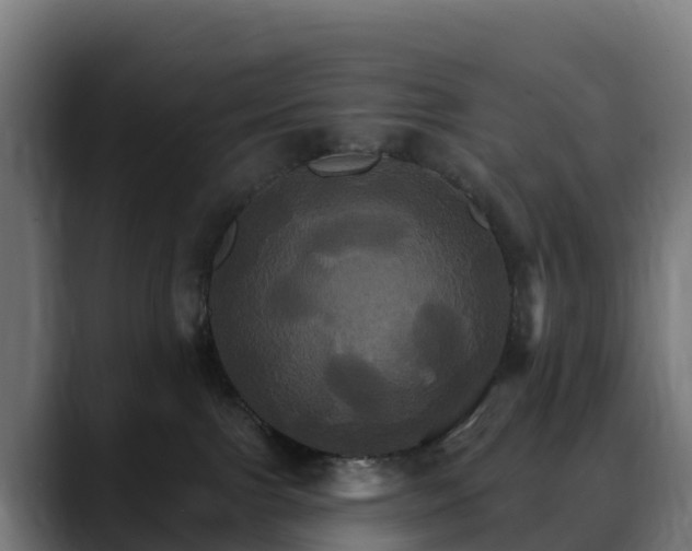 X0000088470091200705291557