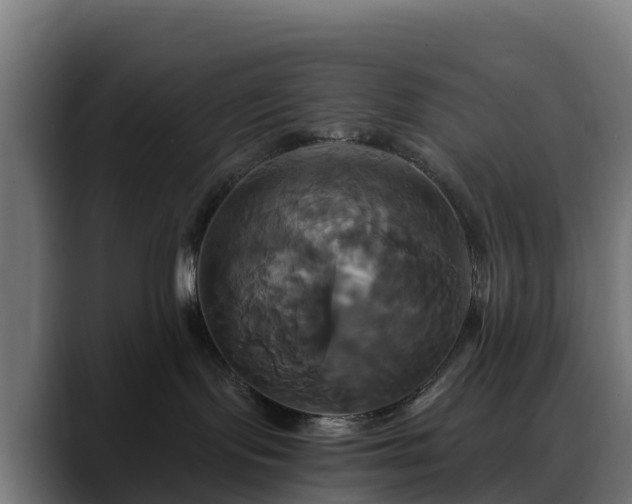 X0000088470095200705291557