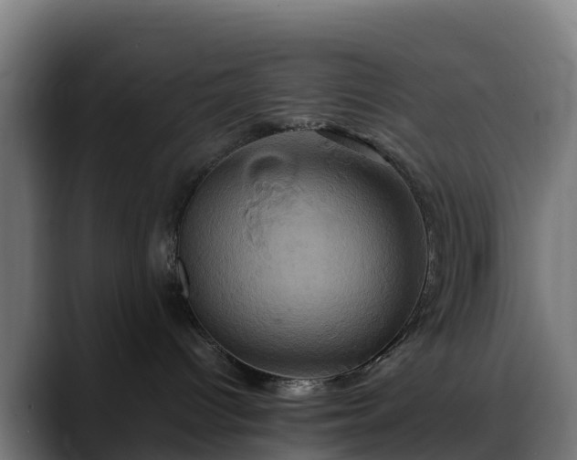 X0000088470096200705291557