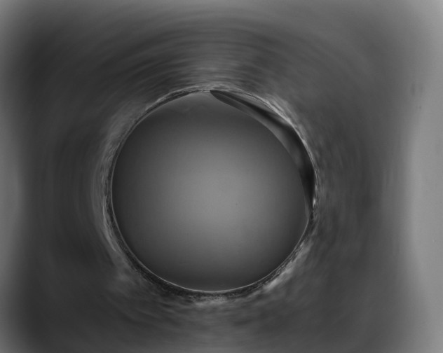 X0000088470097200705291556