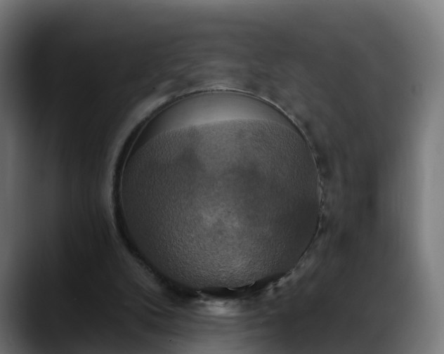 X0000088470104200705291556