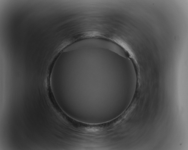 X0000088470105200705291556