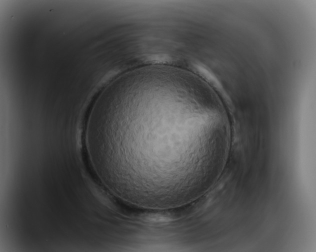 X0000088470106200705291556