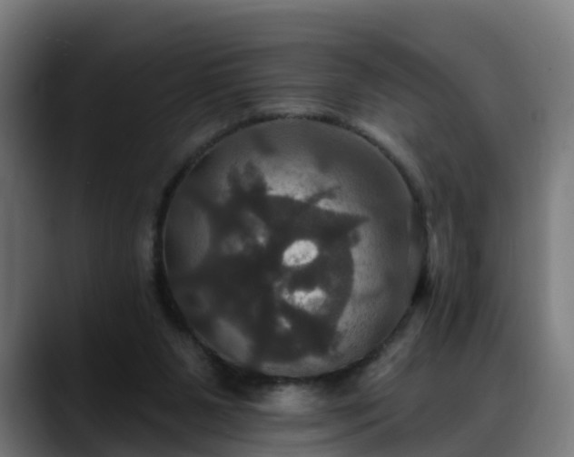 X0000088470111200705291556