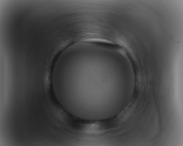 X0000088470116200705291556